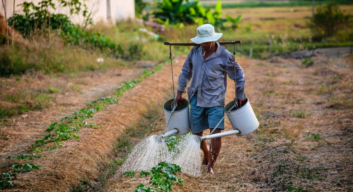 Foto - Oportunidade de Negócios: Alimentação fora do lar.