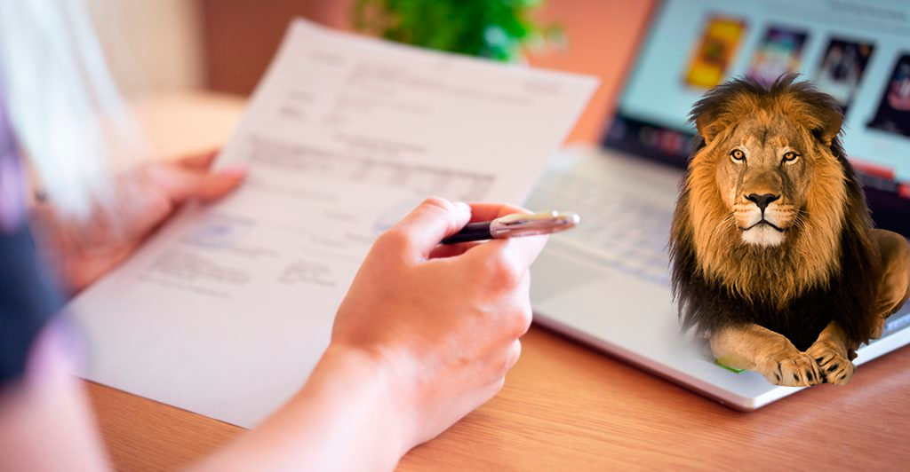 Foto - Você já está preparando toda a documentação para declarar o Imposto de Renda 2020?