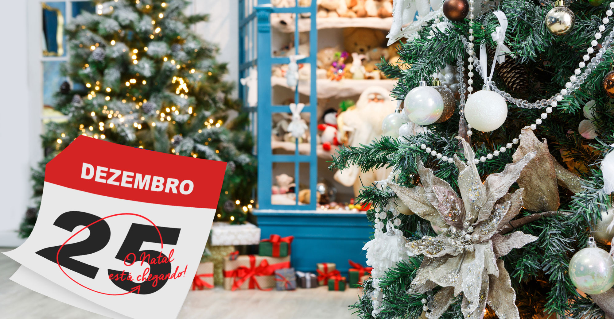 Foto - Sua loja já está pensando nas vendas do Natal?