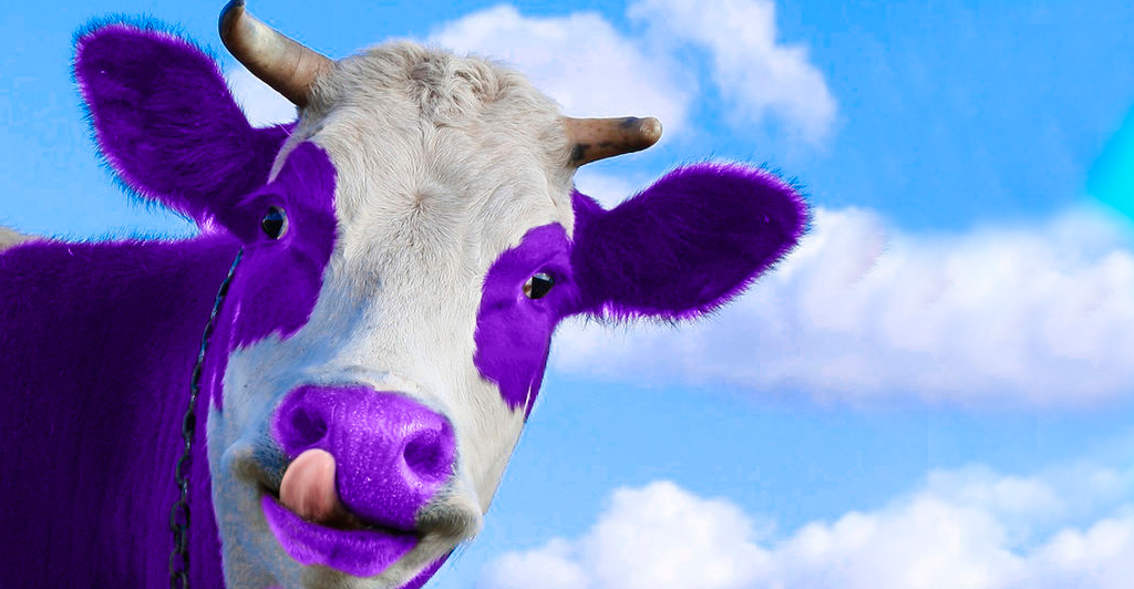 Foto - Você tem uma “vaca roxa” na sua empresa?